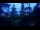 Webcam in Narva-Jõesuu, 166.2 mi away