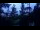 Webcam in Narva-Jõesuu, 486.6 km