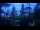 Webcam in Narva-Jõesuu, 267.9 km