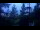 Webcam in Narva-Jõesuu, 166.2 mi away