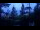 Webcam in Narva-Jõesuu, 32.9 km entfernt