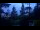 Webcam in Narva-Jõesuu, 1191.5 km
