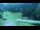 Webcam in Ax-les-Thermes, 0 km