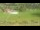 Webcam in Cordon, 0 km