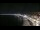 Webcam in Nice, 0.6 mi away