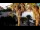 Webcam in Vir, 2.7 km