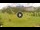 Webcam in Arabba, 0.1 mi away