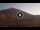 Webcam at mount Pico de Teide (Tenerife), 7.9 mi away