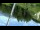 Webcam in La Norma, 1.7 km entfernt