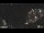 Webcam in Riomaggiore (Cinque Terre), 5.8 km entfernt