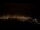 Webcam in Gibraltar, 290.6 km