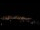 Webcam in Gibraltar, 0.6 mi away