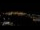 Webcam in Gibilterra, 68.2 km