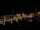 Webcam in Dresden, 0.3 mi away