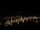 Webcam in Dresda, 12.8 km