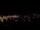 Webcam in Dresden, 0.3 mi away