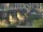 Webcam in Dresden, 4.2 km entfernt