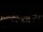 Webcam in Dresda, 0.7 km