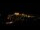 Webcam in Athens, 3.7 mi away