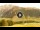 Webcam in Livigno, 2.3 km entfernt