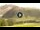 Webcam in Livigno, 0.9 km