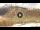 Webcam in Livigno, 0.2 mi away