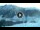 Webcam in Livigno, 0.6 km