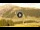 Webcam in Livigno, 0.9 km