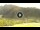 Webcam in Livigno, 0.3 mi away