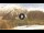 Webcam in Livigno, 2.2 km