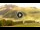 Webcam in Livigno, 2.1 km