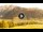 Webcam in Livigno, 0.1 km entfernt