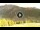 Webcam in Livigno, 0.9 km