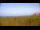 Webcam in Zuydcoote, 0 km entfernt