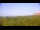 Webcam in Zuydcoote, 0 km entfernt