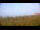 Webcam in Zuydcoote, 0 km entfernt