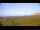 Webcam in Zuydcoote, 0 km entfernt