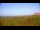 Webcam in Zuydcoote, 0 km entfernt