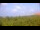 Webcam in Zuydcoote, 11.1 mi away