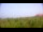 Webcam in Zuydcoote, 0 km entfernt