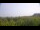 Webcam in Zuydcoote, 0 km