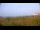 Webcam in Zuydcoote, 0 km