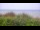 Webcam in Zuydcoote, 0 km