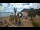 Webcam in Playa de Las Teresitas (Teneriffa), 7.4 km