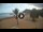 Webcam in Playa de Las Teresitas (Teneriffa), 7 km entfernt