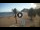 Webcam in Playa de Las Teresitas (Tenerife), 3 mi away