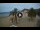 Webcam in Playa de las Teresitas (Tenerife), 9.5 km