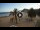 Webcam in Playa de Las Teresitas (Teneriffa), 9.5 km