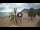 Webcam in Playa de Las Teresitas (Tenerife), 6.6 mi away