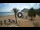 Webcam in Playa de Las Teresitas (Tenerife), 2.5 mi away